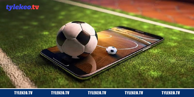 Tuân thủ pháp luật và miễn trừ trách nhiệm quyết định cá cược